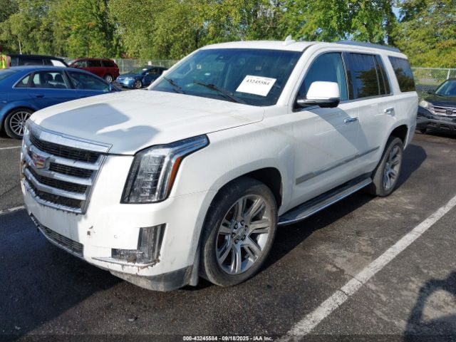 2016 CADILLAC ESCALADE 1GYS4BKJ9GR303485 Photo 1