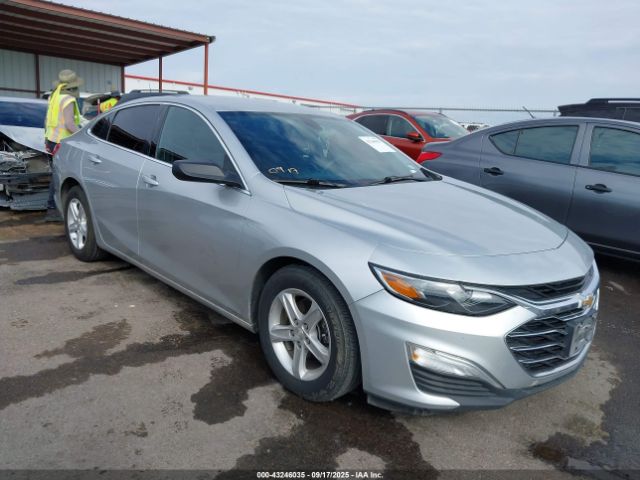 2019 CHEVROLET MALIBU 1G1ZB5ST3KF206699