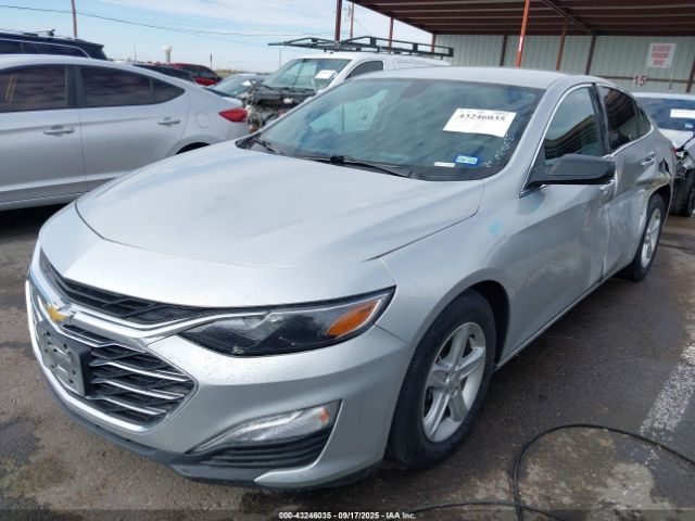 2019 CHEVROLET MALIBU 1G1ZB5ST3KF206699 Photo 1