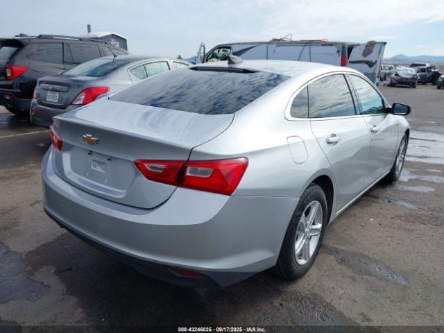 2019 CHEVROLET MALIBU 1G1ZB5ST3KF206699 Photo 3