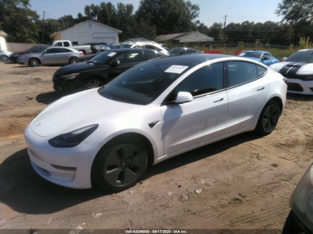 2021 TESLA MODEL 3 5YJ3E1EA9MF006411 Photo 1