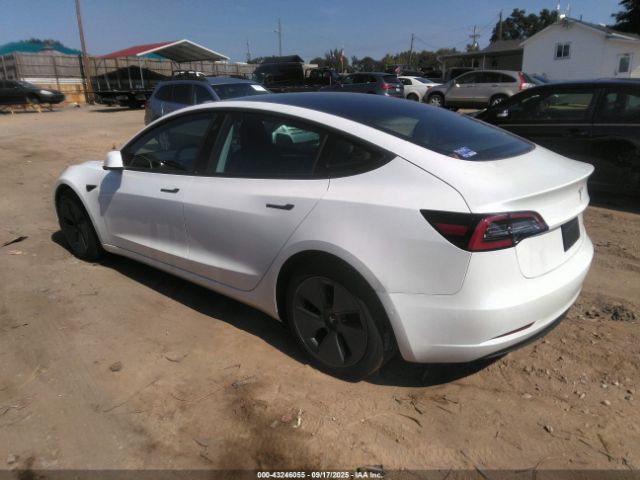 2021 TESLA MODEL 3 5YJ3E1EA9MF006411 Photo 2
