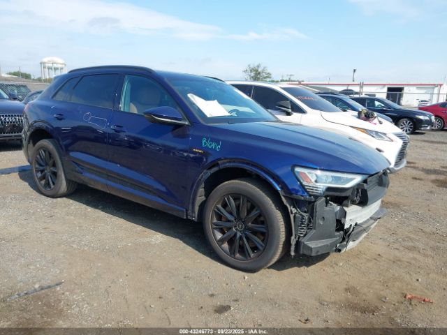 2022 AUDI E-TRON WA1AAAGE1NB030994