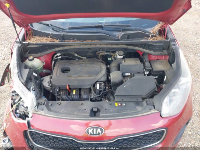 2017 KIA SPORTAGE KNDPM3AC4H7207782 Photo 9