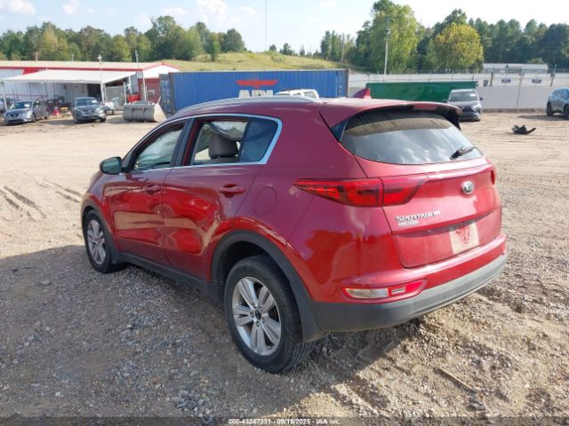 2017 KIA SPORTAGE KNDPM3AC4H7207782 Photo 2