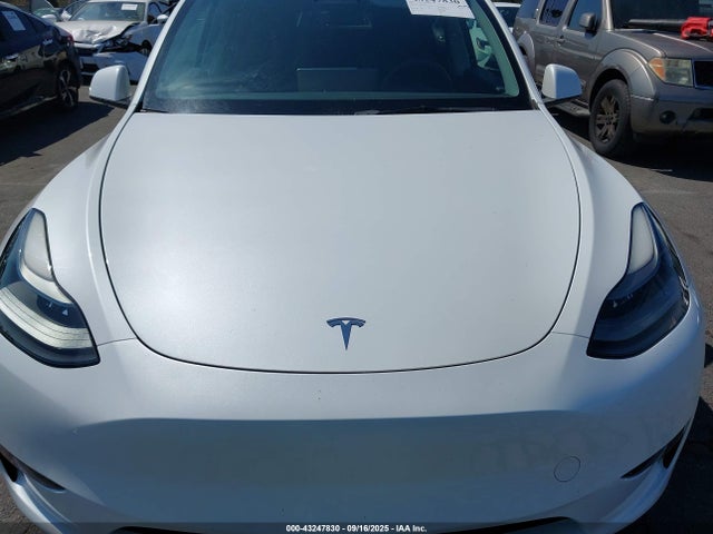 Продаж на аукціоні авто 2023 Tesla Model Y, vin: 7SAYGAEE5PF619913, номер лоту: 43247830