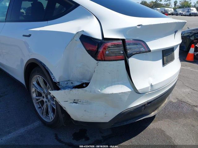 Продаж на аукціоні авто 2023 Tesla Model Y, vin: 7SAYGAEE5PF619913, номер лоту: 43247830