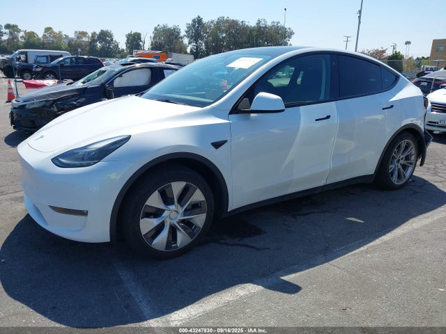 Продаж на аукціоні авто 2023 Tesla Model Y, vin: 7SAYGAEE5PF619913, номер лоту: 43247830