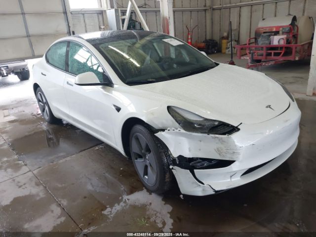 2023 TESLA MODEL 3 5YJ3E1EA2PF619622 Photo 0