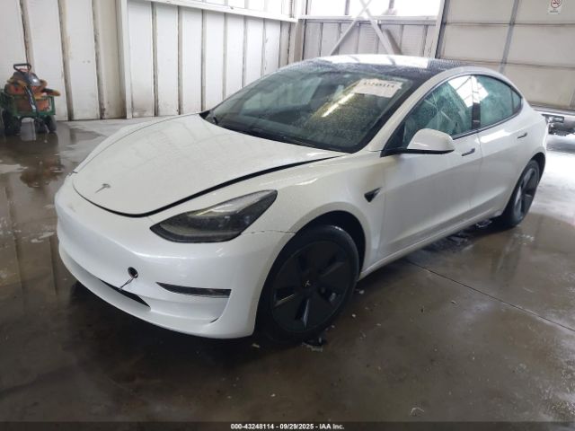 2023 TESLA MODEL 3 5YJ3E1EA2PF619622 Photo 1