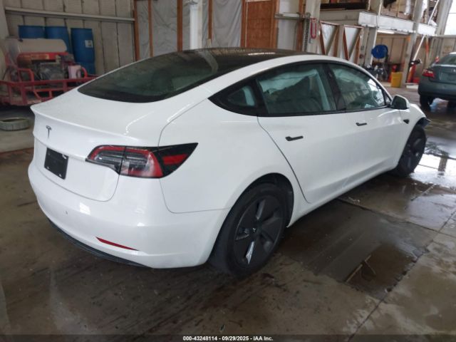 2023 TESLA MODEL 3 5YJ3E1EA2PF619622 Photo 3