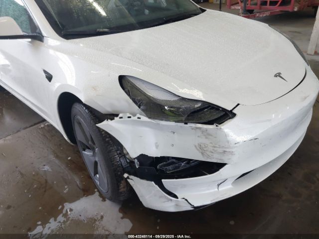 2023 TESLA MODEL 3 5YJ3E1EA2PF619622 Photo 5