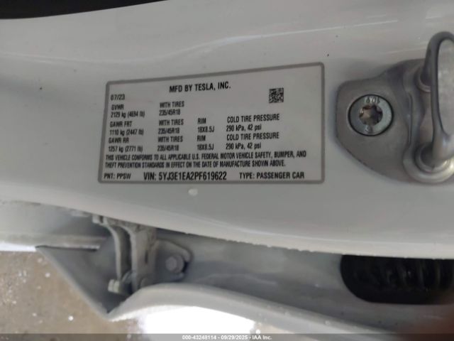 2023 TESLA MODEL 3 5YJ3E1EA2PF619622 Photo 8