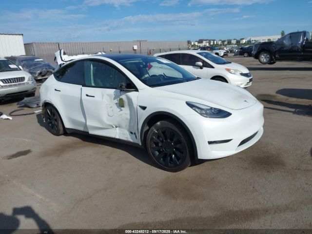 2023 TESLA MODEL Y 7SAYGDEE7PF586382 Photo 0
