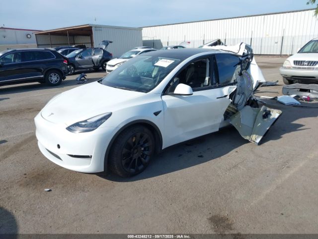 2023 TESLA MODEL Y 7SAYGDEE7PF586382 Photo 1
