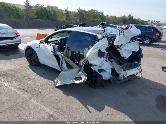 2023 TESLA MODEL Y 7SAYGDEE7PF586382 Photo 2