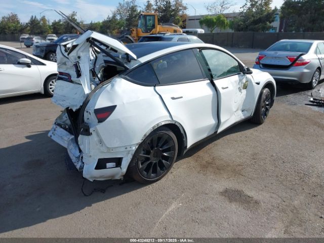 2023 TESLA MODEL Y 7SAYGDEE7PF586382 Photo 3