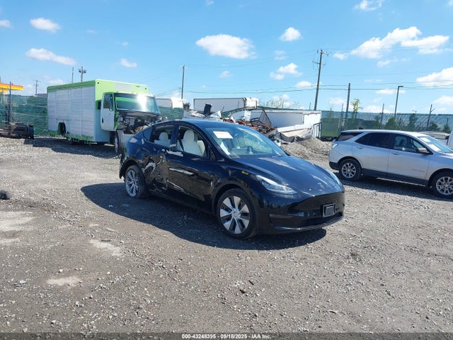 2021 TESLA MODEL Y 5YJYGDEE3MF228334 Photo 0