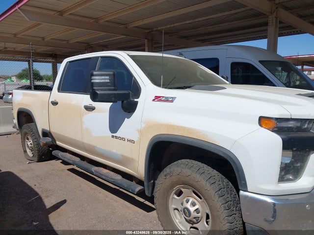 Chevrolet l8t 2023 1GC1YLE74PF165500 Image 12