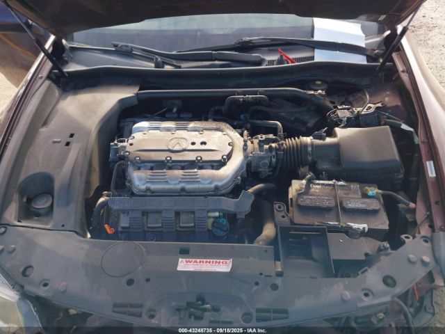 2010 ACURA TSX JH4CU4F46AC003163 Photo 9