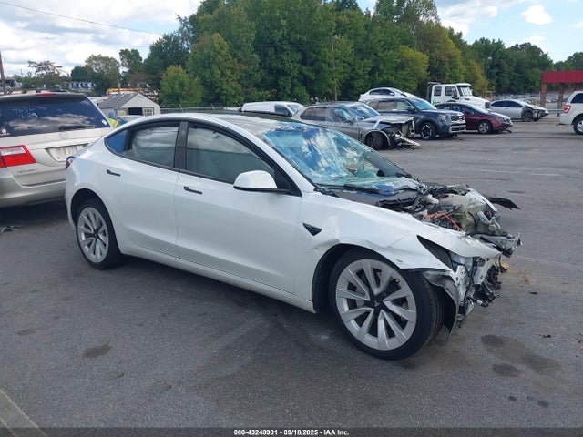 2023 TESLA MODEL 3 5YJ3E1EA9PF464759 Photo 0