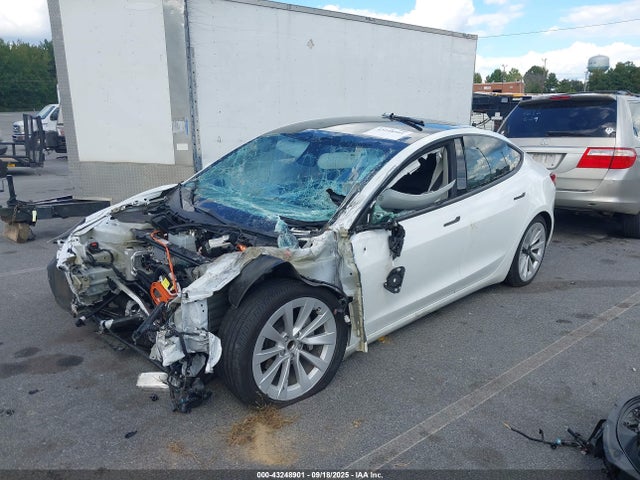 2023 TESLA MODEL 3 5YJ3E1EA9PF464759 Photo 1