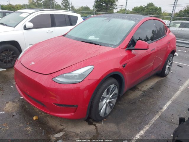 2023 TESLA MODEL Y 7SAYGDEE7PF684568 Photo 1