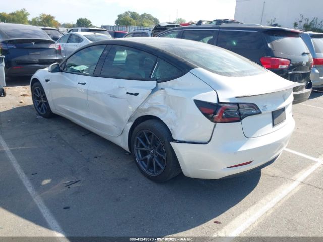 2021 TESLA MODEL 3 5YJ3E1EB7MF981367 Photo 2