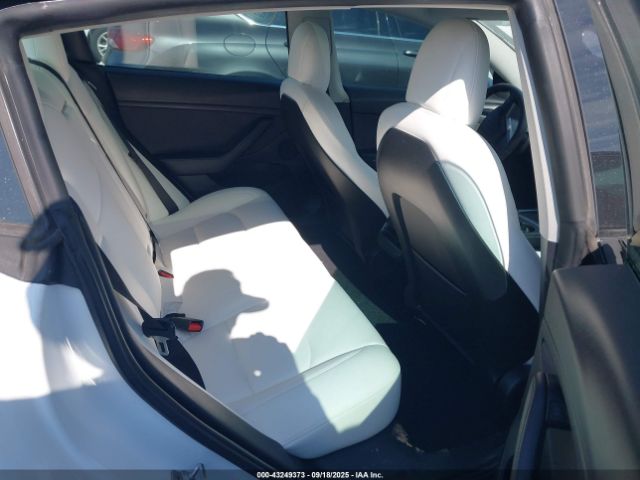 2021 TESLA MODEL 3 5YJ3E1EB7MF981367 Photo 7