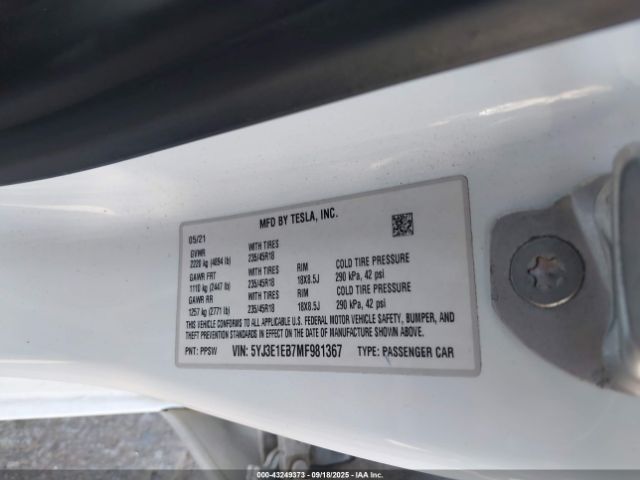 2021 TESLA MODEL 3 5YJ3E1EB7MF981367 Photo 8