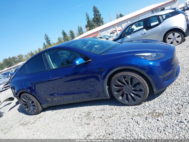 Tesla 2023 2023 7SAYGDEF9PF804878 Image 14