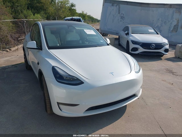 2023 TESLA MODEL Y 7SAYGDEF1PF864976 Photo 0