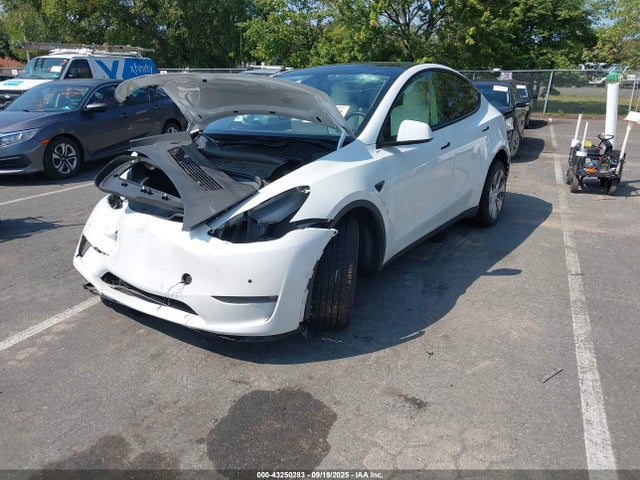 2022 TESLA MODEL Y 7SAYGDEE6NF419749 Photo 1