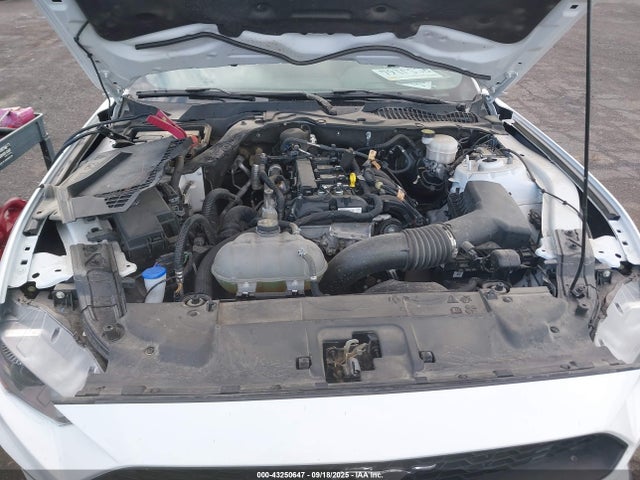 Ford 4v 2022 1FA6P8TH4N5123449 Image 10