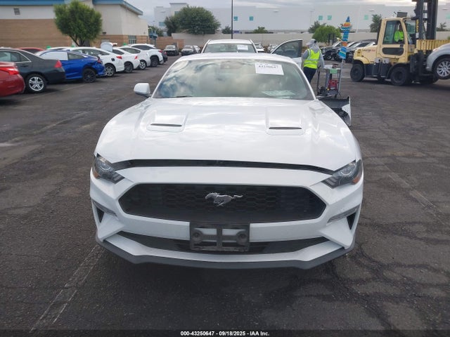 Ford 4v 2022 1FA6P8TH4N5123449 Image 13