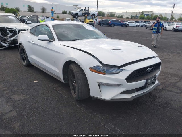 Ford 4v 2022 1FA6P8TH4N5123449 Image 14