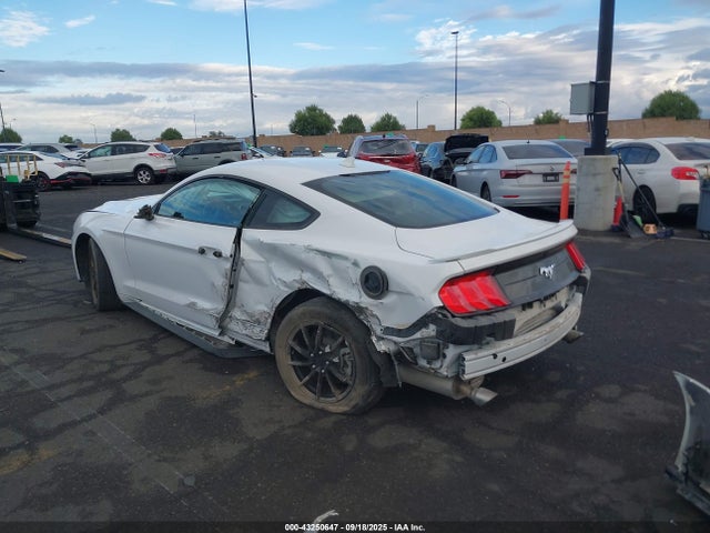 Ford 4v 2022 1FA6P8TH4N5123449 Image 15