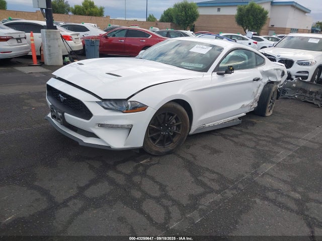 Ford 4v 2022 1FA6P8TH4N5123449 Image 2