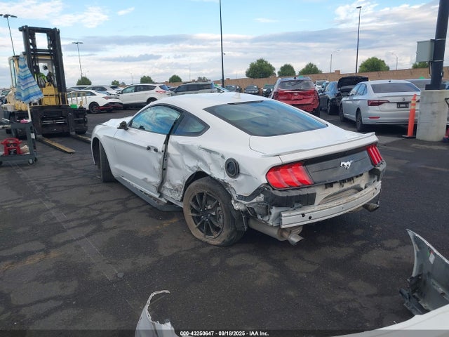 Ford 4v 2022 1FA6P8TH4N5123449 Image 3