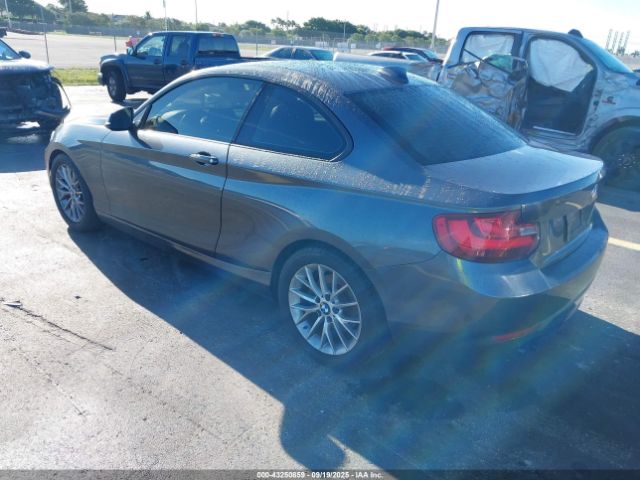 2014 BMW 228I WBA1F5C57EV255839 Photo 2