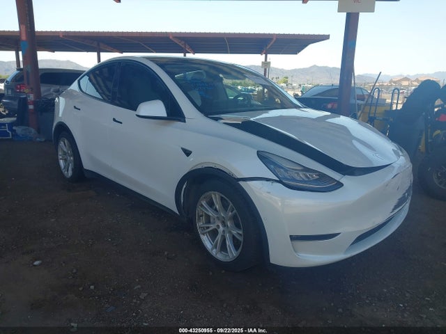 2021 TESLA MODEL Y 5YJYGDEE2MF161838 Photo 0