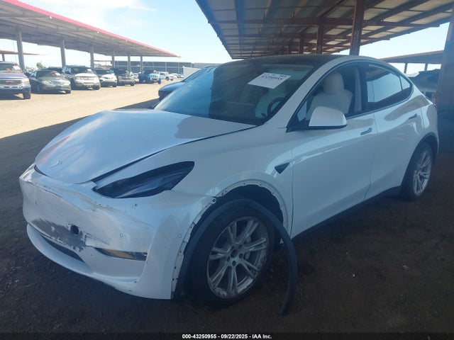 2021 TESLA MODEL Y 5YJYGDEE2MF161838 Photo 1