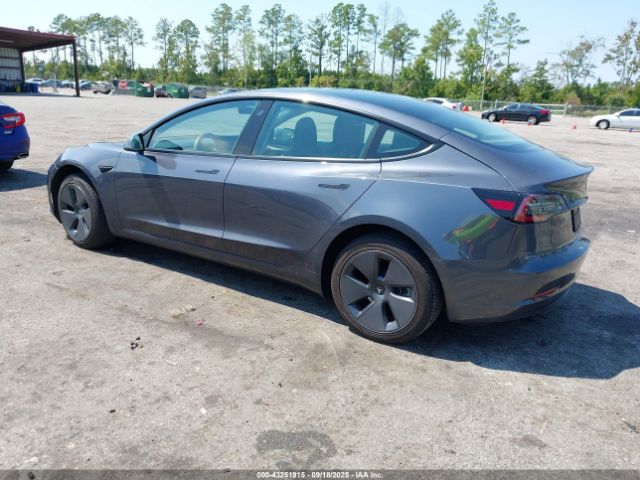 2023 TESLA MODEL 3 5YJ3E1EA6PF448065 Photo 2
