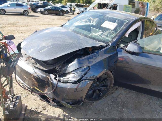 2024 TESLA MODEL Y 7SAYGDEE7RA301616 Photo 5