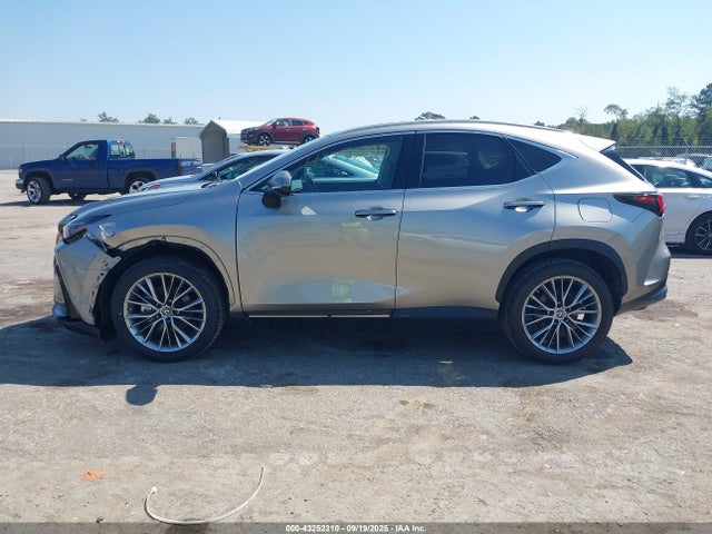 Lexus t24a-fts 2022 2T2HGCEZ5NC010538 Image 14