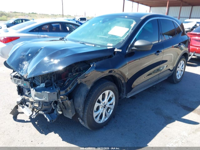 Продаж на аукціоні авто 2024 Ford Escape Active, vin: 1FMCU0GN3RUA03642, номер лоту: 43252772