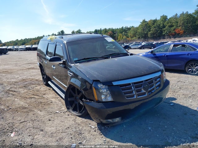 2007 CADILLAC ESCALADE ESV 1GYFK66897R172600 Photo 0