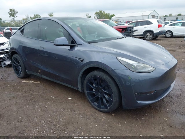 2023 TESLA MODEL Y 7SAYGDEE3PF890972 Photo 0