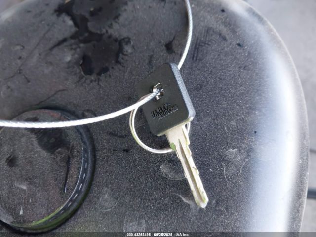 2019 HARLEY-DAVIDSON XL883 1HD4LE212KC403988 Photo 10