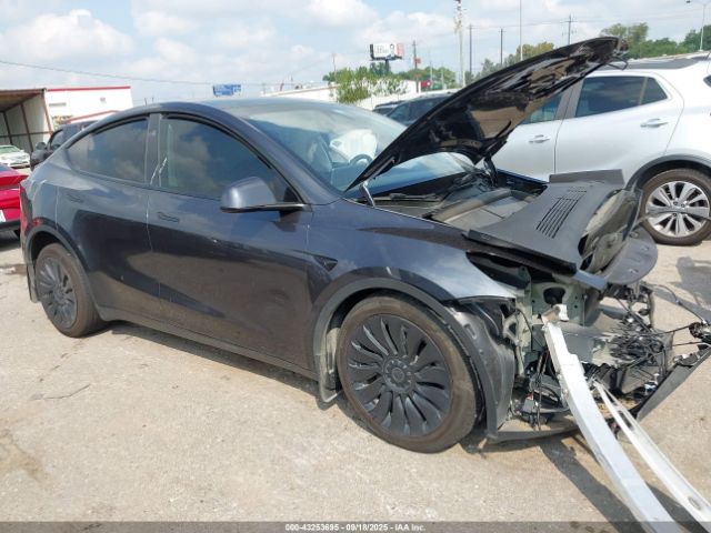 2024 TESLA MODEL Y 7SAYGDEEXRA239824 Photo 0
